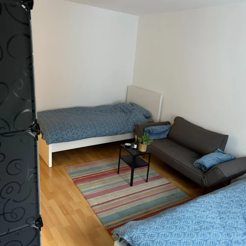 loerrach-mitte-bergstrasse-36 (2)