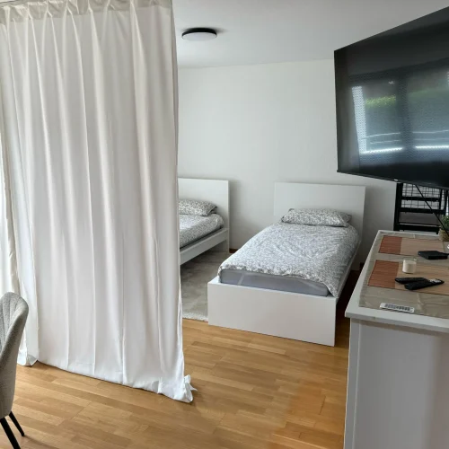 stay4work - wohnung - Grenzach-Whylen (38)