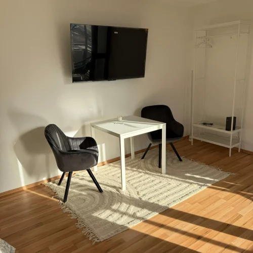 wohnung-hammerstrasse (18)